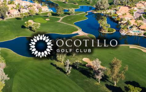 Ocotillo